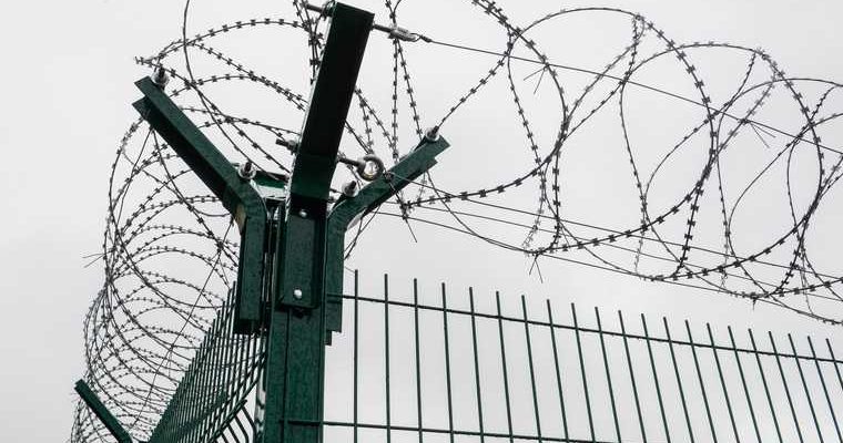 Челябинская область Гридин маньяк УДО колония Лифтер суд