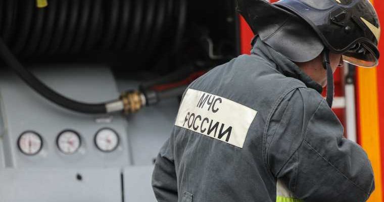 лес противопожарный режим рейд пикник