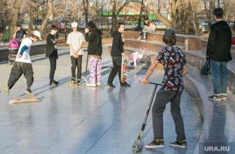 учеба школа подготовка егэ огэ