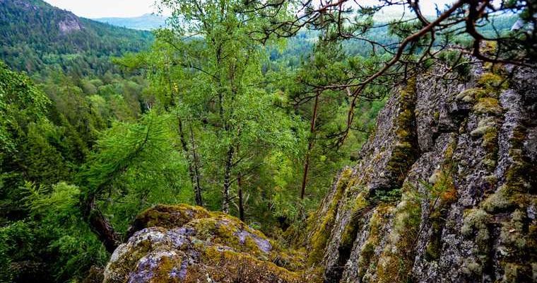 пропал главврач