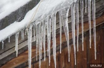 погода сегодня