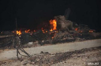 лесные пожары в Тюменской области