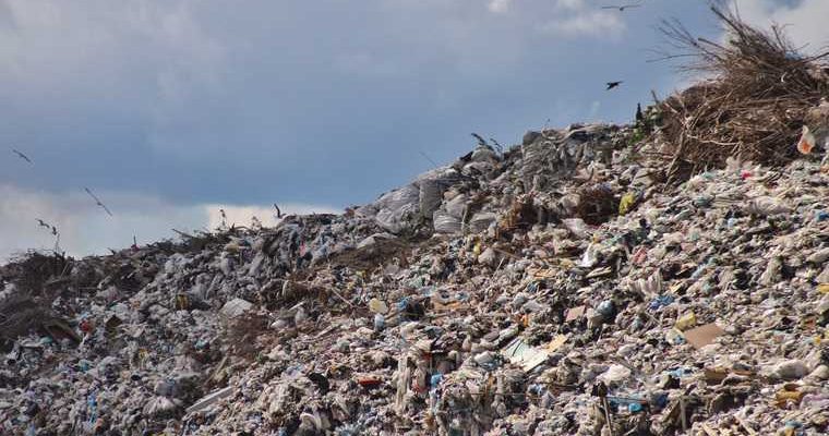 запретили ходить на свалку в Курганской области