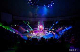 лев цирк нападение животное львица зоопарк обмен арена