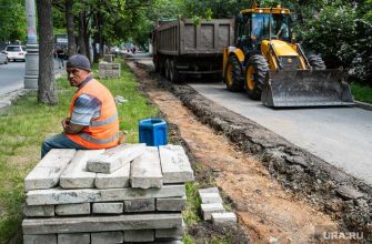 трудовые мигранты