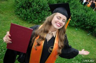 новые дипломы