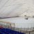 Власти раскрыли место новой ледовой арены в Кургане