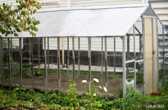 наказания для дачников