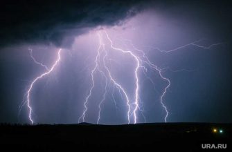 погода в Подмосковье и ЦФО