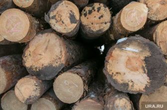 массовая вырубка