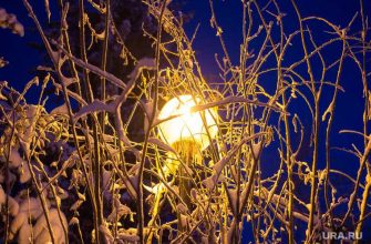 Челябинская область погода 4 5 6 июня