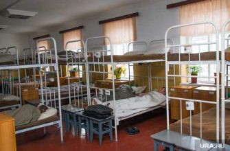 сколько лет дали Шамсутдинову