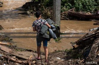 электротранспорт