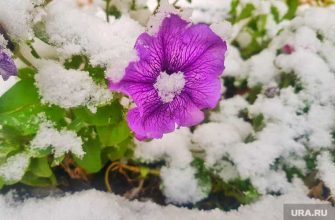 перепады температуры