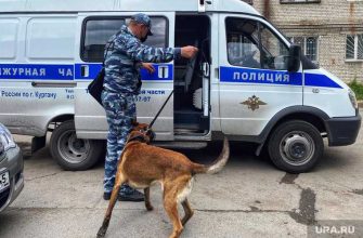 минирование здание