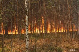 режим ЧС Тюменская область