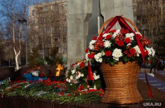 петиция Великая Отечественная война