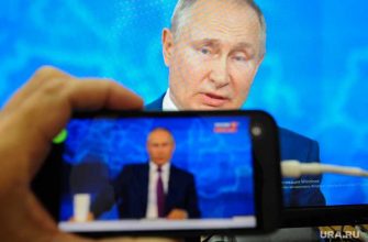 налог на скот