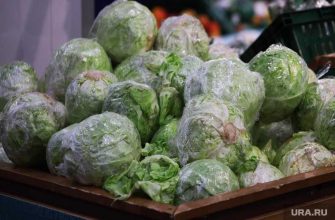 государственная граница