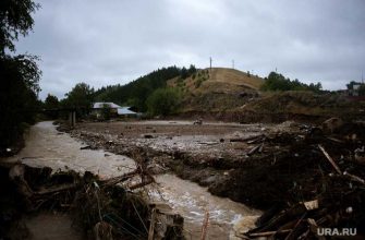 подтопление