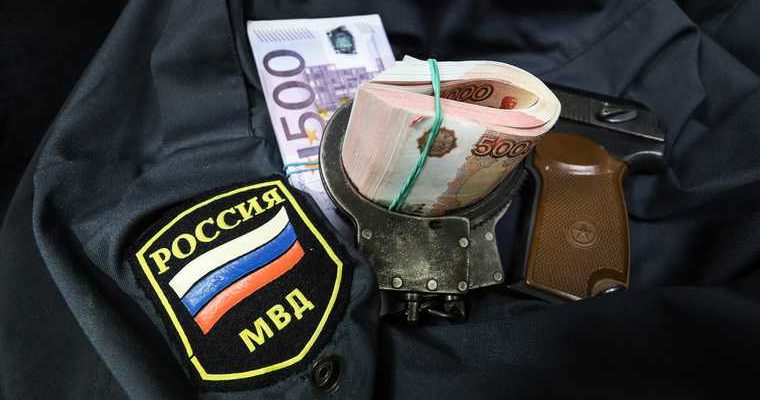 общество