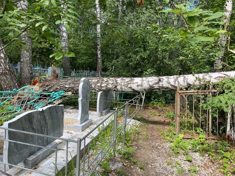 Ураган разрушил тюменское кладбище, где похоронены декабристы. Фото