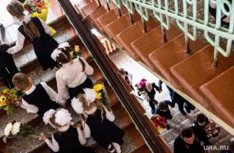 братья и сестры в одной школе детский сад поправки