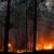 Жители Якутии задыхаются от лесных пожаров. Видео