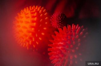 Роспотребнадзор