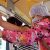 В столице ХМАО готовятся сделать бесплатный проезд для детей