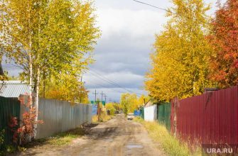Алексей Петропольский
