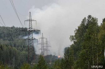 гора Волчиха